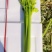 市场芹菜