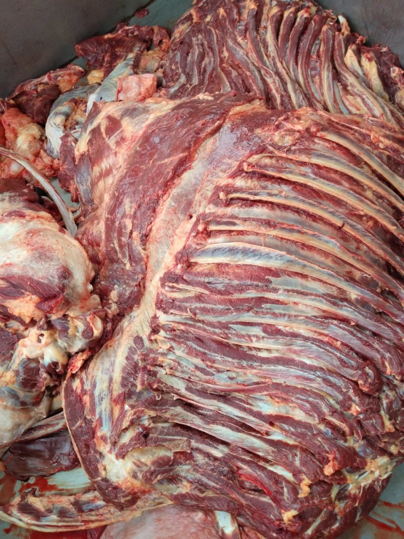 马排，马排骨，现杀带皮、去皮精修去油去骨马肋条肉
