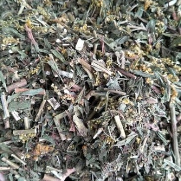 一枝黄花一支黄花黄花草满山草老虎尿百草根