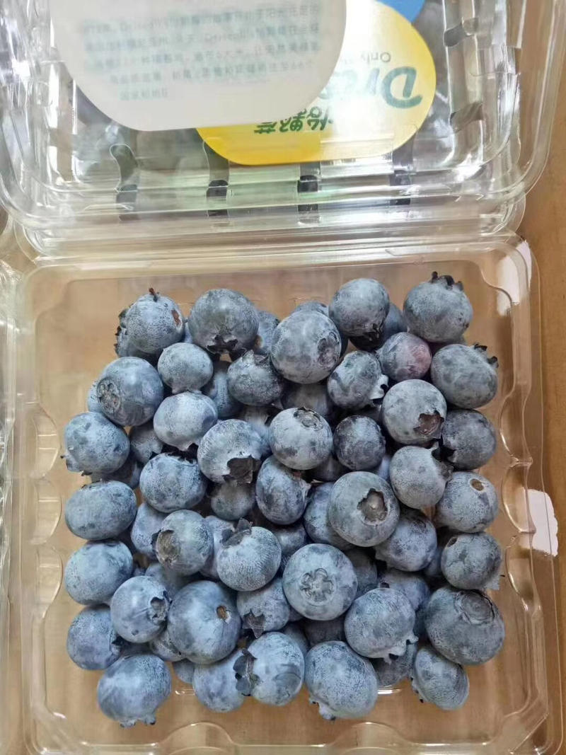 蓝莓粉头足，硬身，口感甜品质不错欢迎个大渠道对接