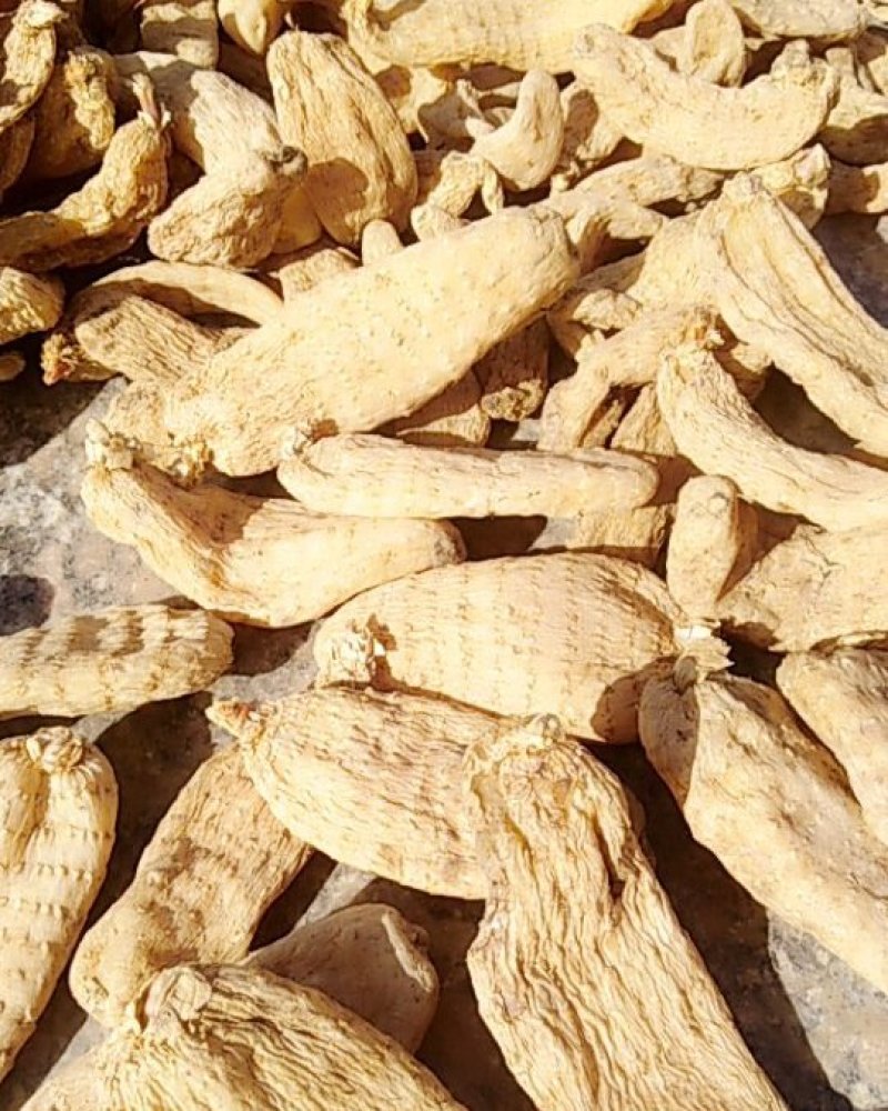 陕西丹凤峦庄天麻小镇直供
