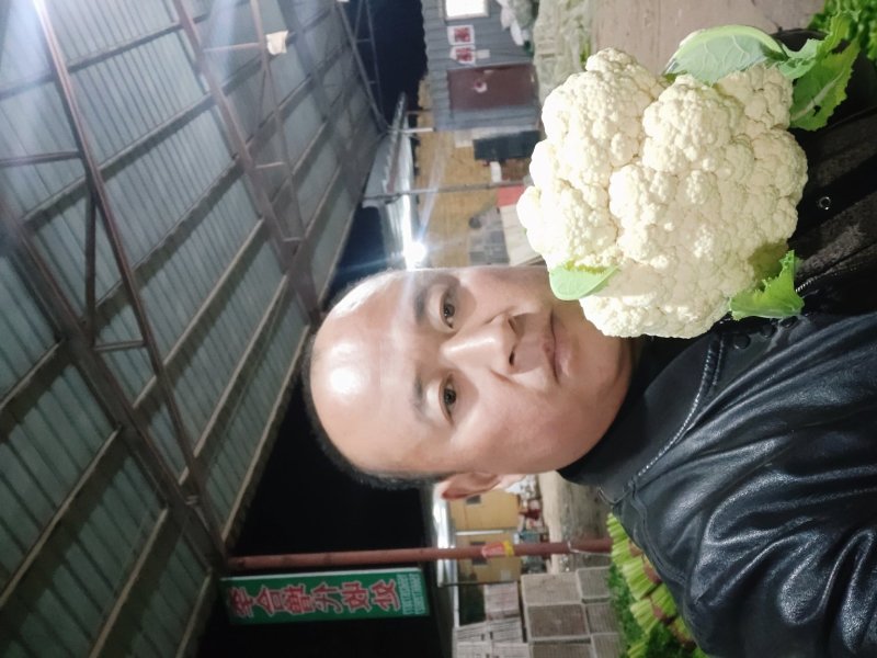 山东聊城白面青梗松花菜大量上市急需客户联系