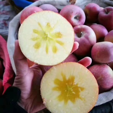高原生态糖心苹果🍎