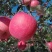 高原生态糖心苹果🍎