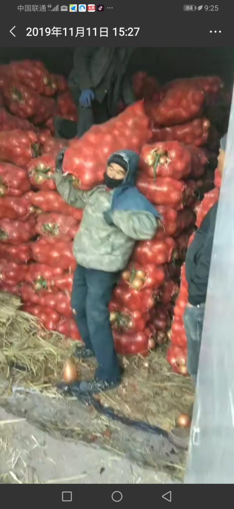 洋葱