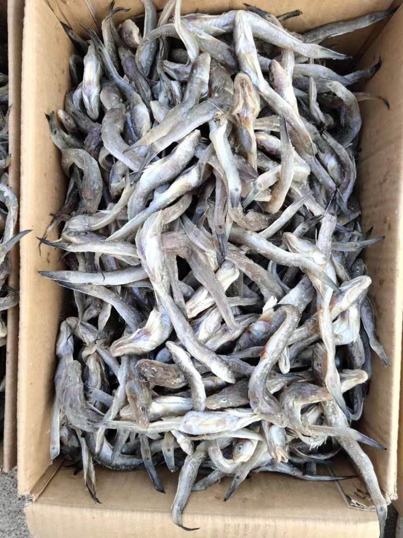 咸鱼，又名油光鱼，用盐腌制的，咸的，吃的时候泡一泡