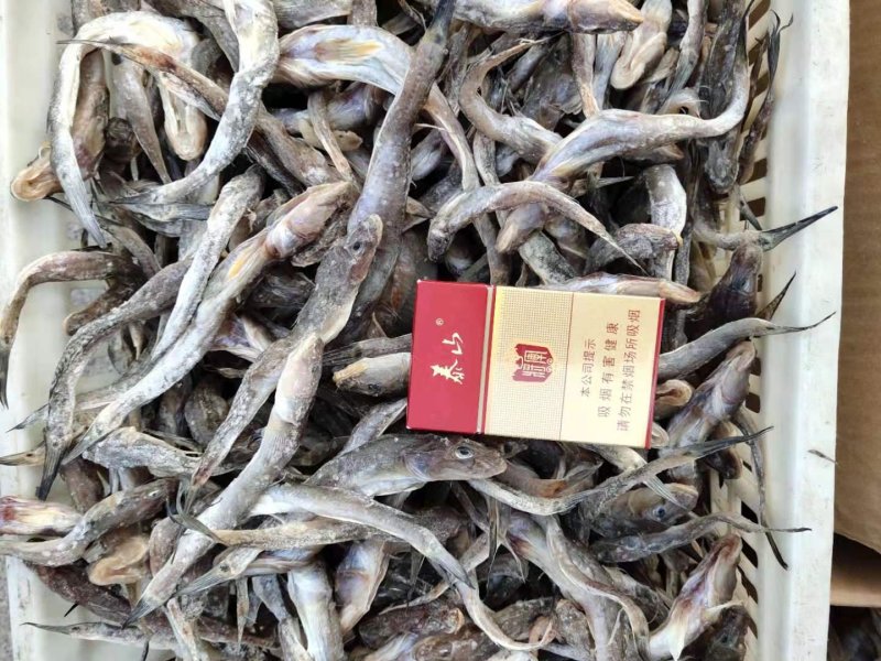 咸鱼，又名油光鱼，用盐腌制的，咸的，吃的时候泡一泡