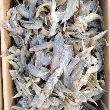咸鱼，又名塌米尖，用盐腌制的。吃的时候泡一泡，