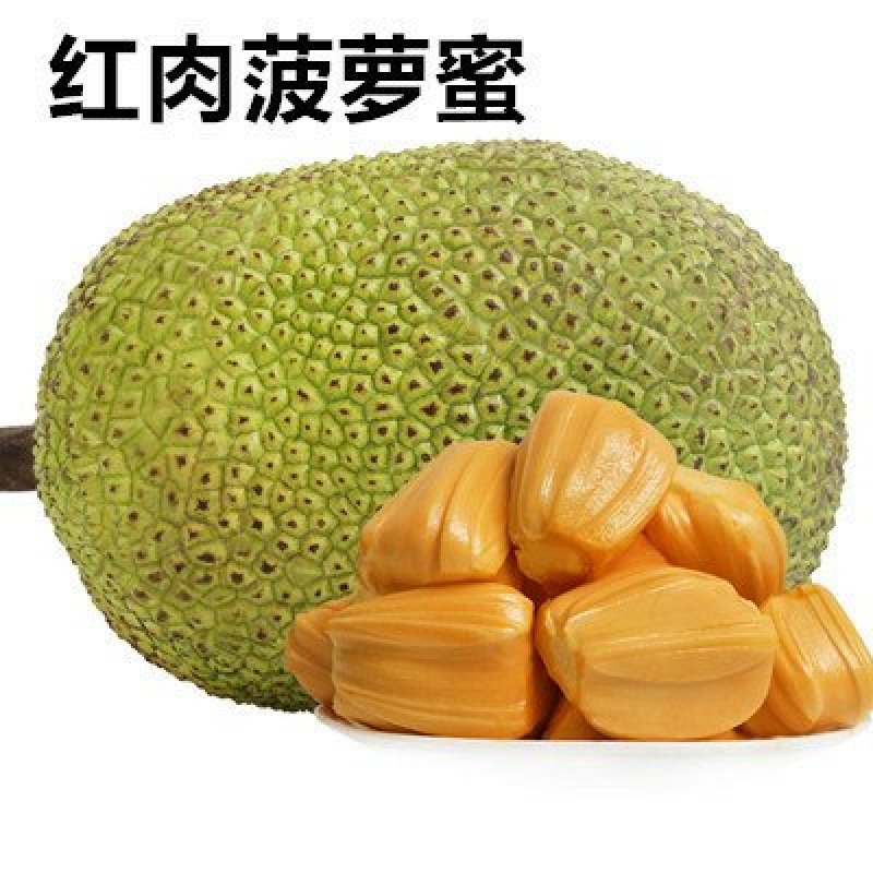 【支持无痕代发】红肉菠萝蜜超脆甜，水果店热卖款