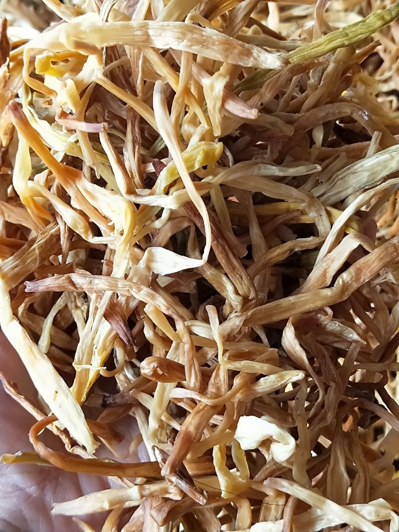 黄花菜，条长观美，货源充足，量大价优，欢迎看货选购