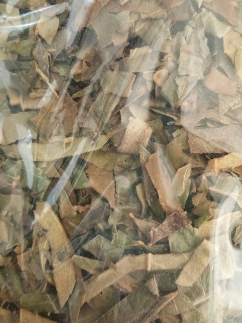枇杷叶干净无杂生~蜜批发零售包邮