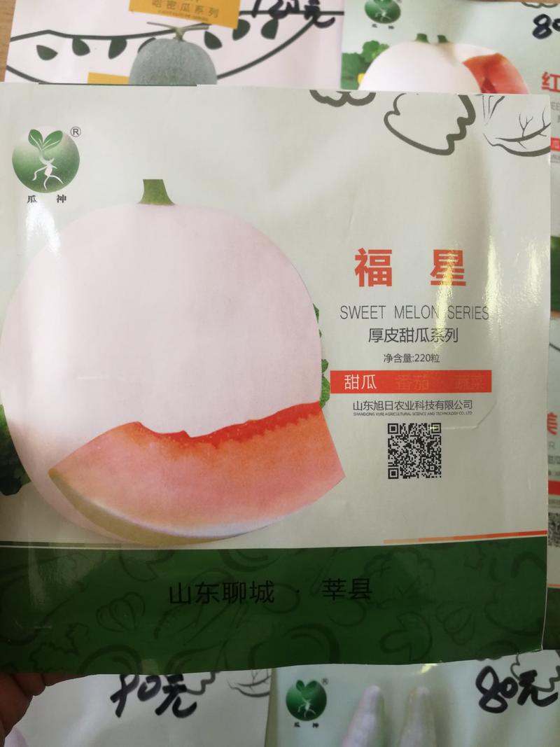 【厚皮】福星红肉脆梨甜瓜种子甜度高口感好抗病好产量高