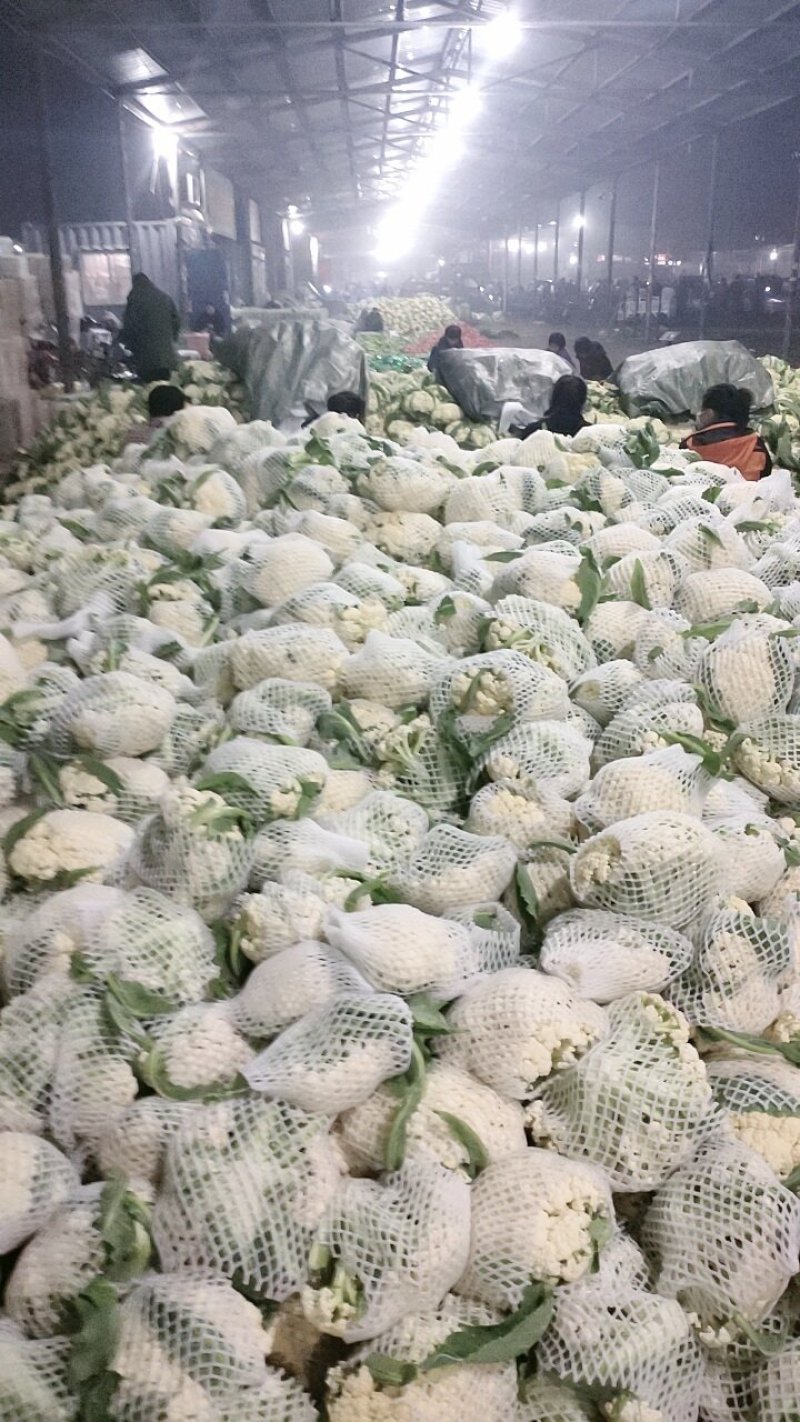聊城有机花菜集中上市，急需客户前来收购，实力代收为你服务