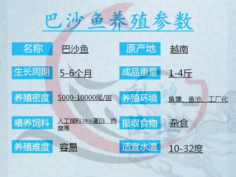 巴沙鱼苗卡巴沙高产量养殖场直供全国包活发货