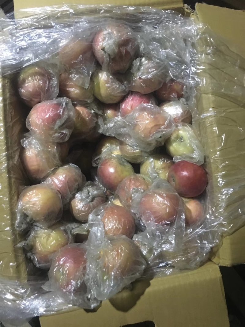 深州水果之乡（精品小富士）