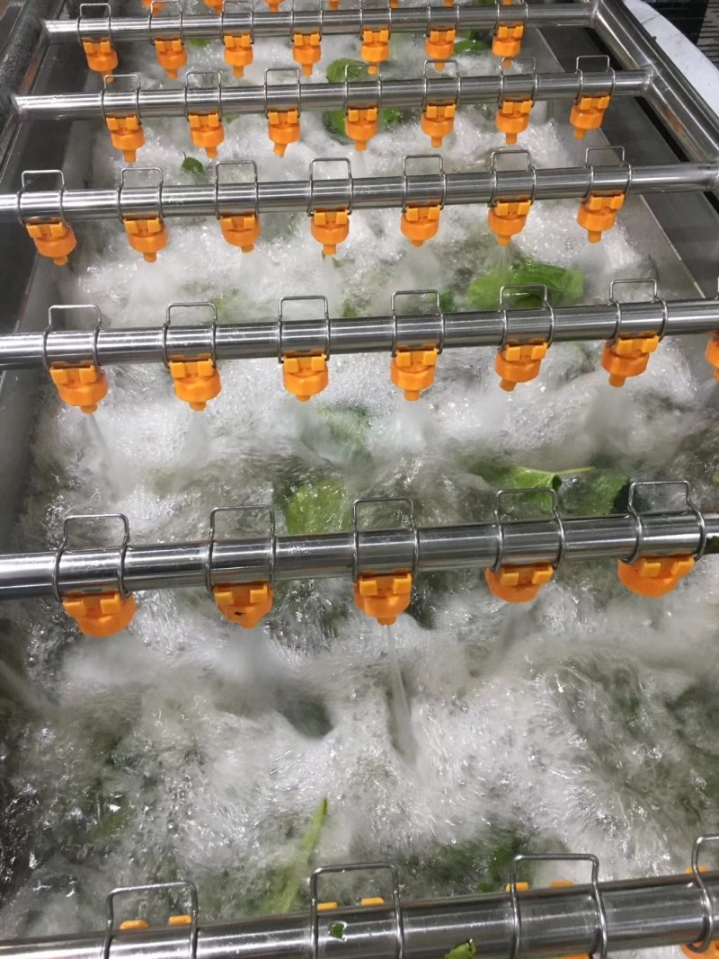 嫘祖故里盐亭桑叶茶霜桑茶冬桑叶颗粒茶清洗桑叶茶非桑芽茶