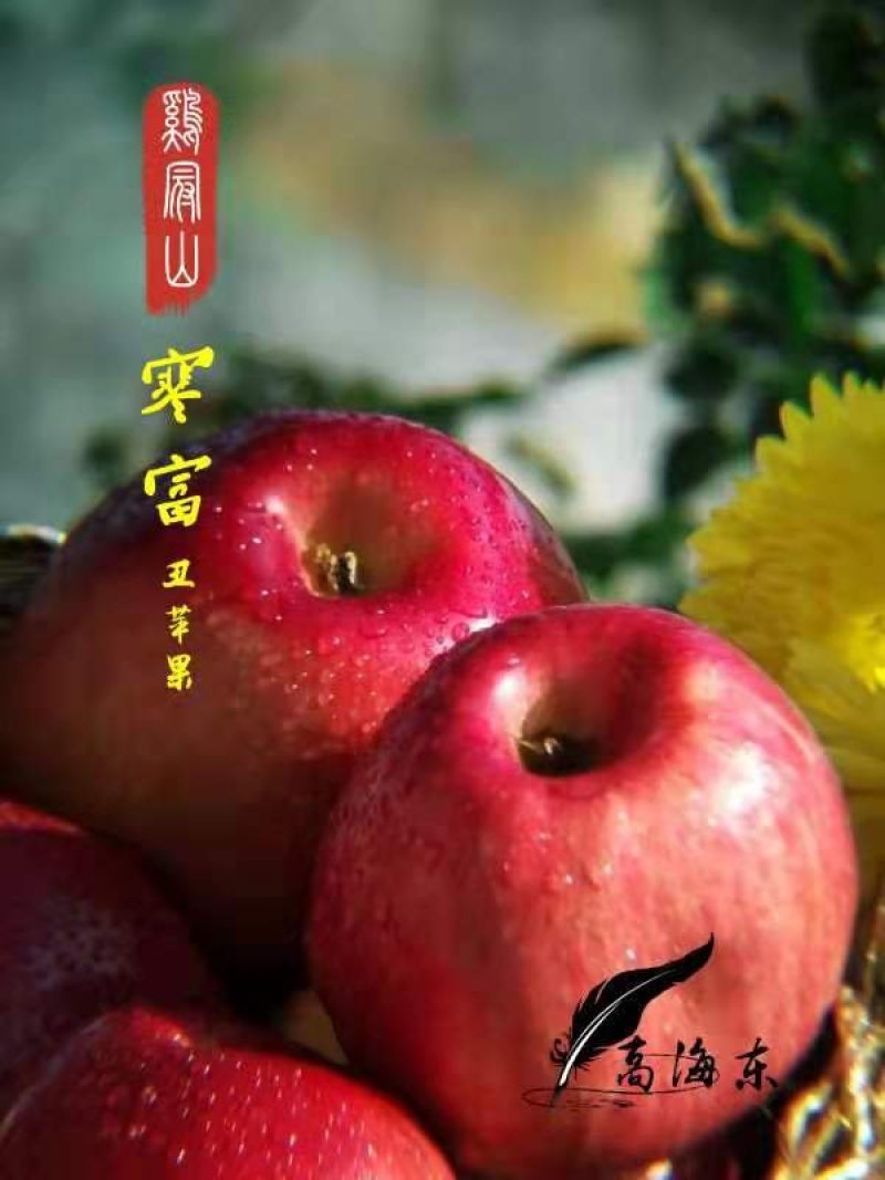 苹果