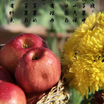 苹果