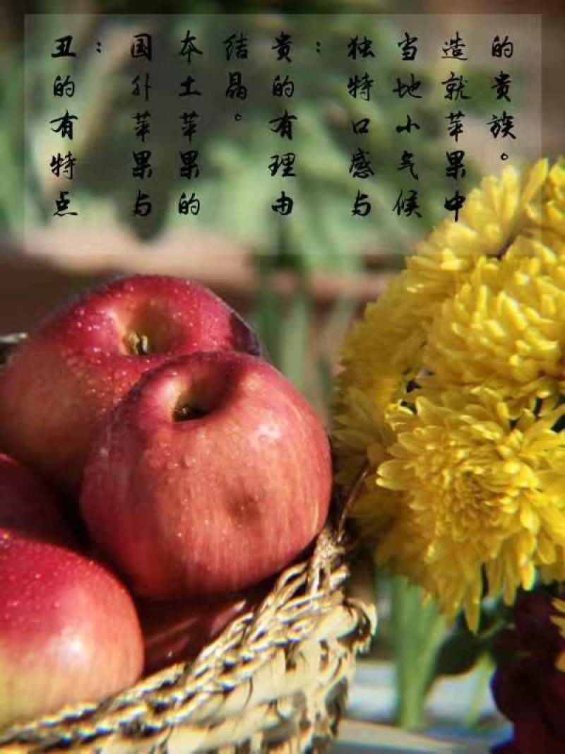 苹果