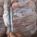 厂家直销精品乳牛扇骨牛骨头肉多质量保证证件齐全量大优惠