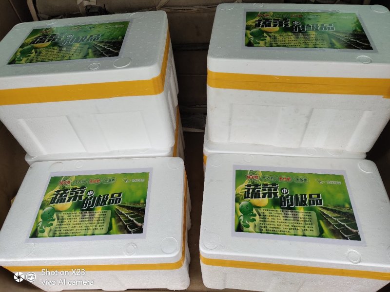 新鲜石斛苗特色菜精品菜石斛菜西餐凉拌盘饰食材基地批发配送