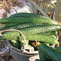 蔬菜
