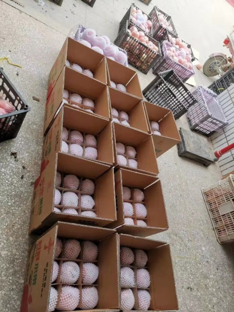 山西万荣黄土高坡红富士苹果10斤装一件代发，