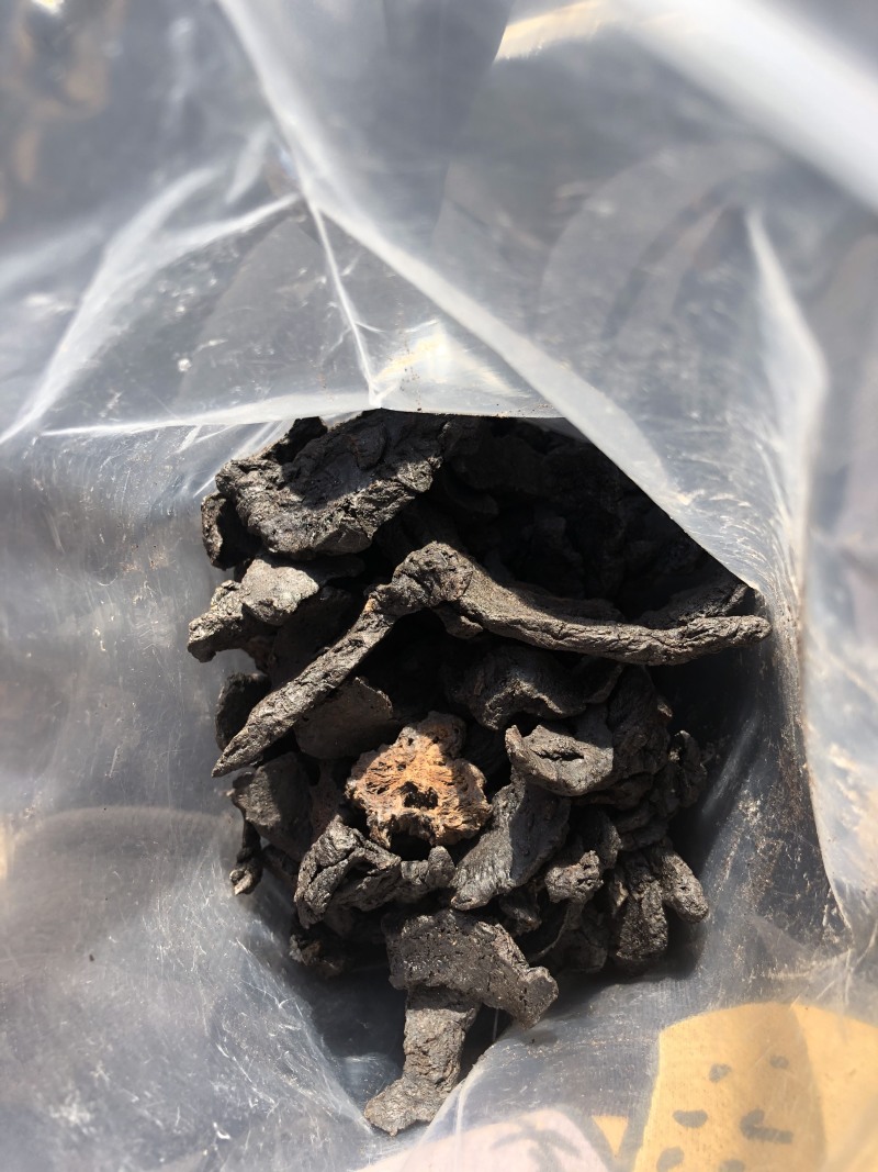 正品生地黄滋补焦作四大怀药