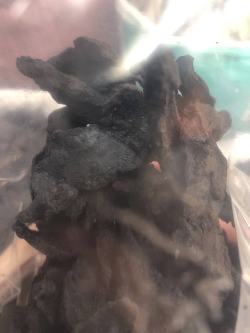 正品生地黄滋补焦作四大怀药