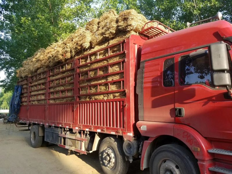 临沂草袋厂家直销草帘子草袋草包草垫子麻袋草绳草袋沙袋