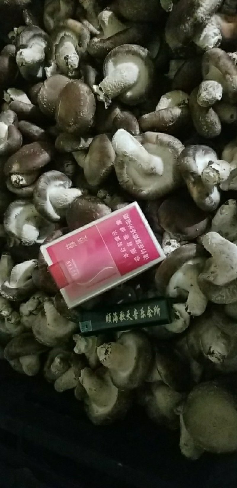 2等香菇