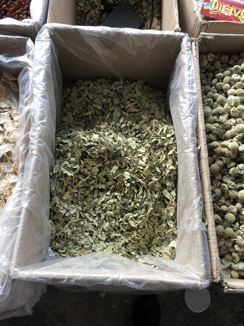 罗布麻叶片野生新疆罗布麻非花茶茶叶
