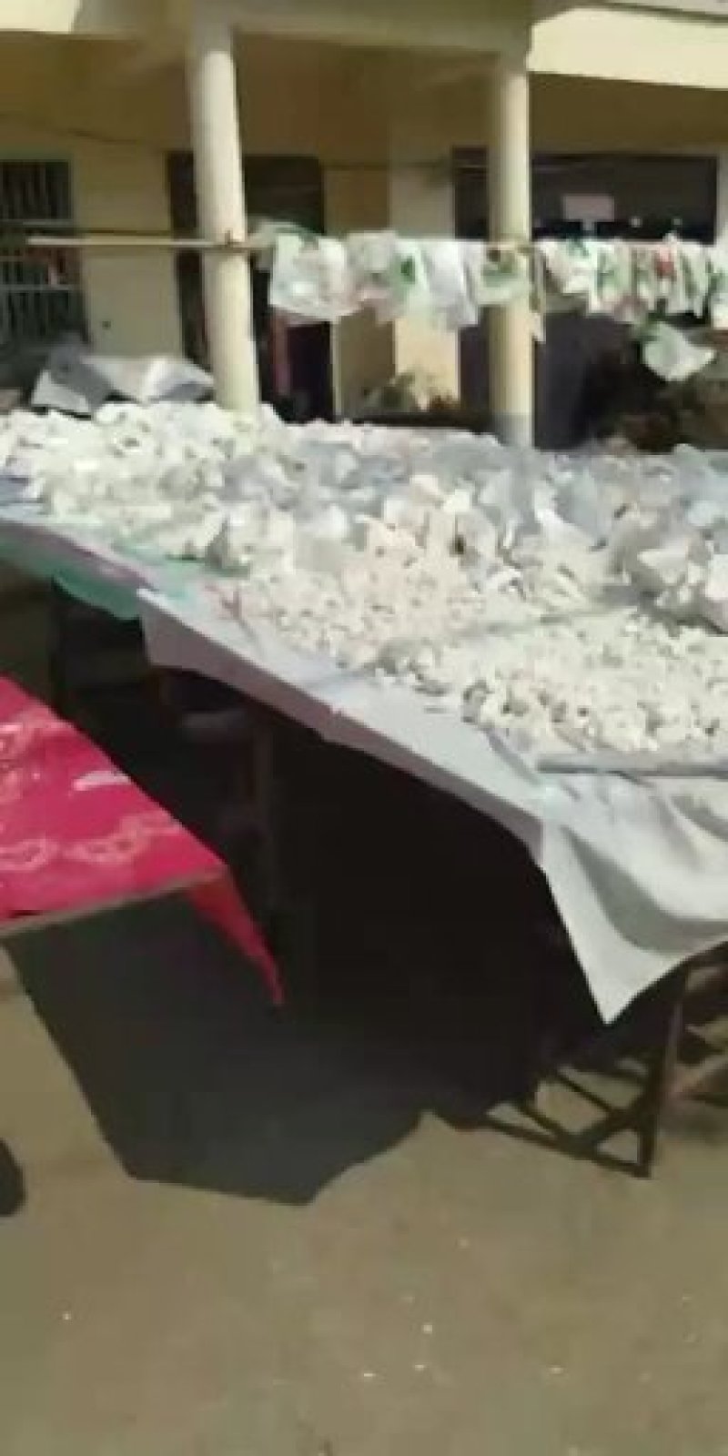 正宗农家红薯粉面粉条土特产