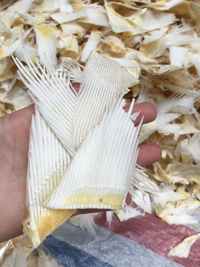 【下单包邮】中秋礼盒装新包装上架小翅骨煮汤代理价