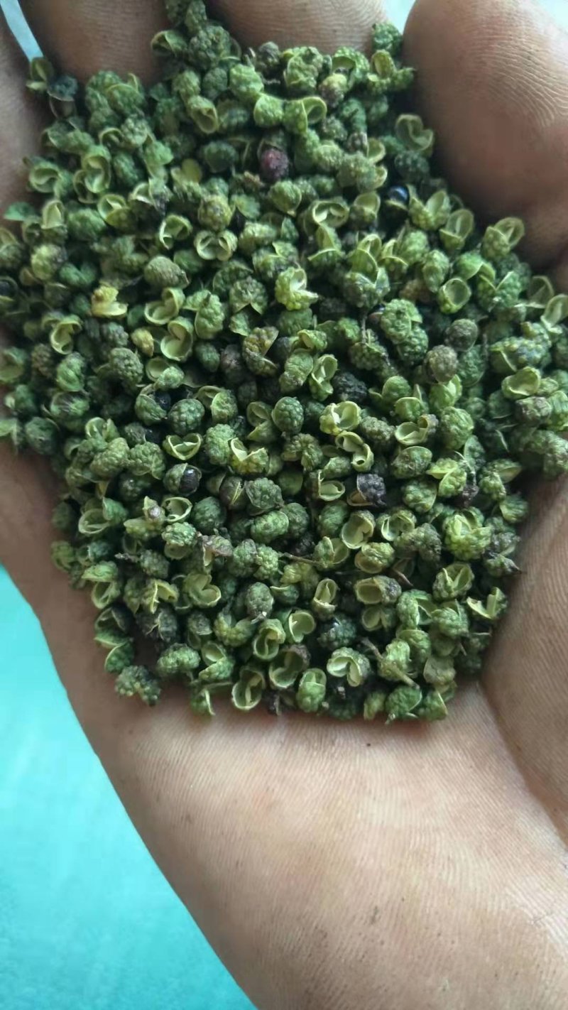 云南青花椒产地一手货源
