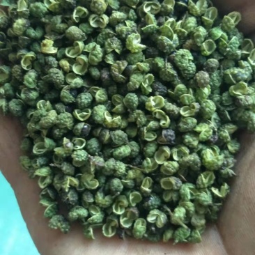 云南青花椒产地一手货源