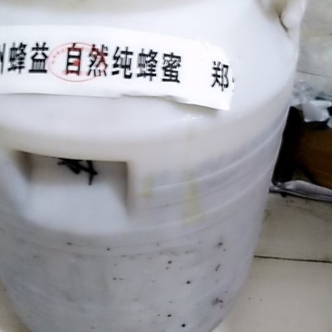 纯正天然枣花蜜包邮