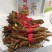 新品种黄芩苗