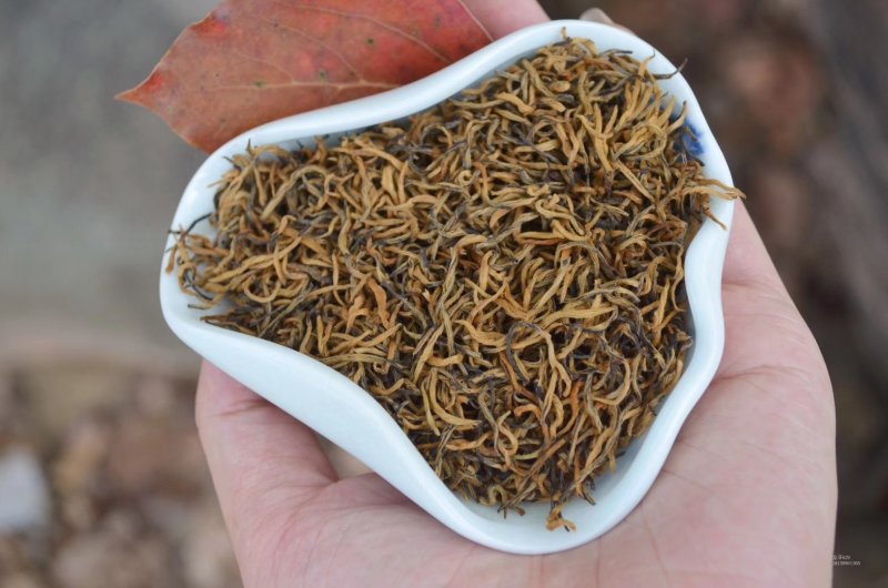 金骏眉红茶养胃产地批发包邮一斤