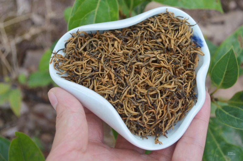 金骏眉红茶养胃产地批发包邮一斤