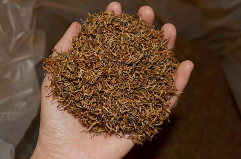 金骏眉红茶养胃产地批发包邮一斤