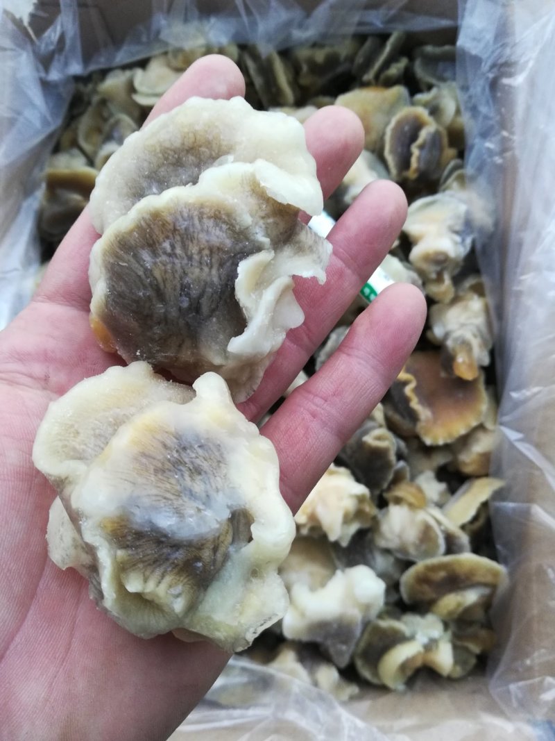玉螺肉，原汁速冻玉螺肉，玉螺大个单冻，鲜度好