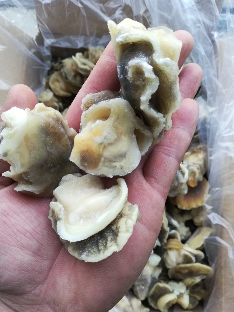 玉螺肉，原汁速冻玉螺肉，玉螺大个单冻，鲜度好