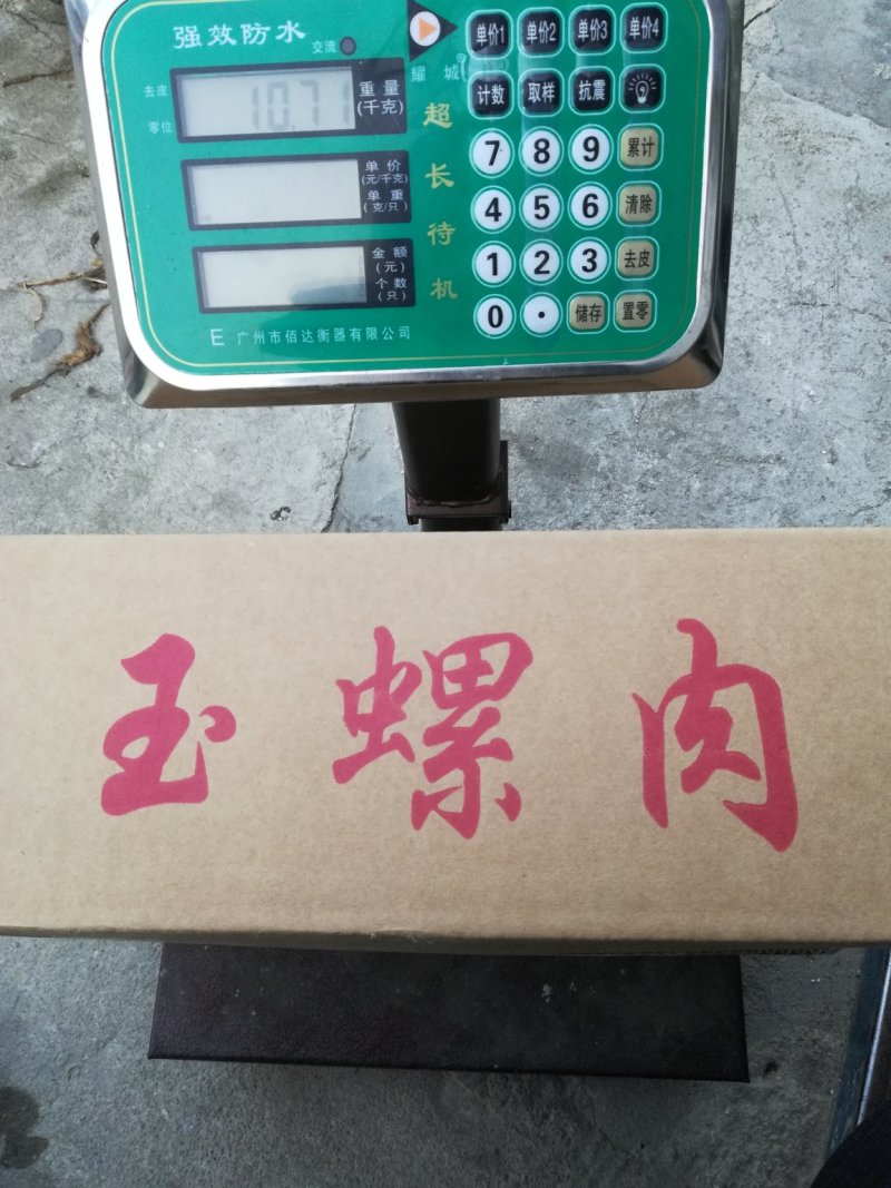 玉螺肉，原汁速冻玉螺肉，玉螺大个单冻，鲜度好