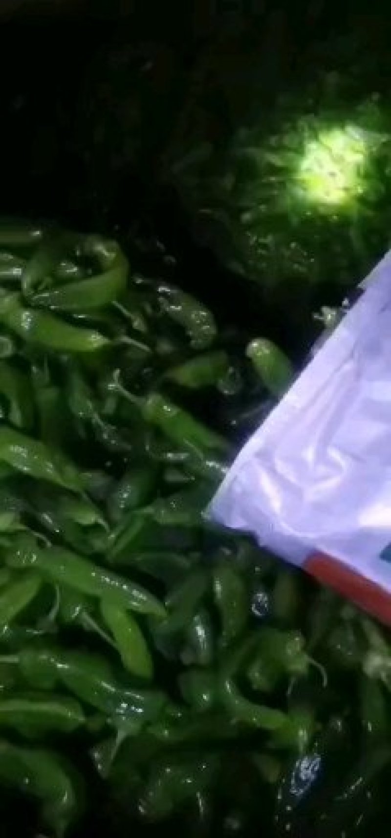 301辣椒泡椒，各种辣椒出售