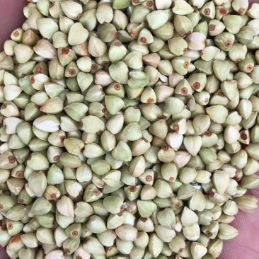 荞麦米，精选一级荞麦米，甜荞