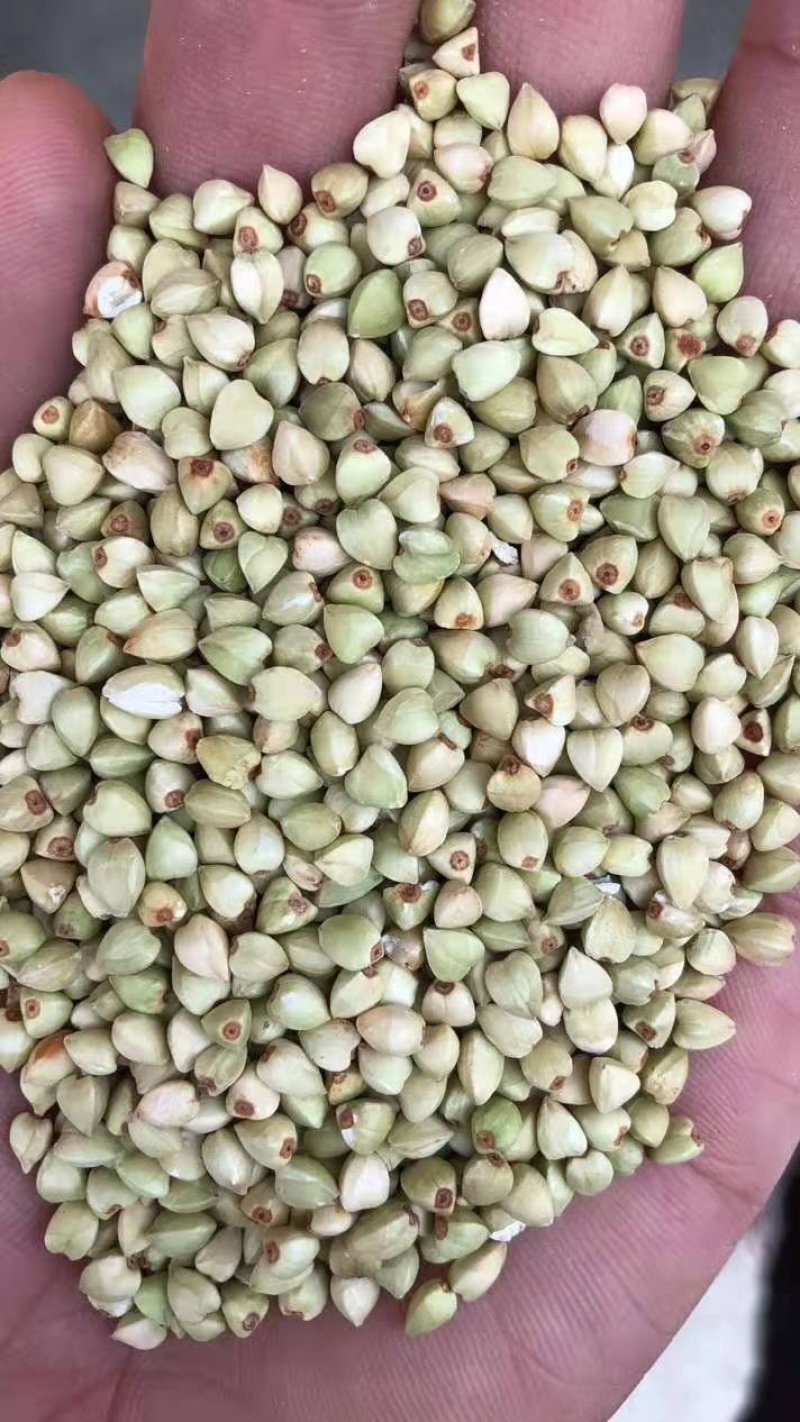 荞麦米，精选一级荞麦米，甜荞
