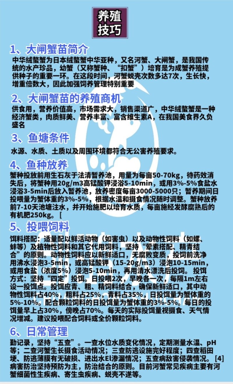 【厂家直销】优质大闸蟹苗中华绒螯蟹苗淡水养殖