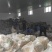 红薯粉条,厂家直销,质优价廉,支持线上交易