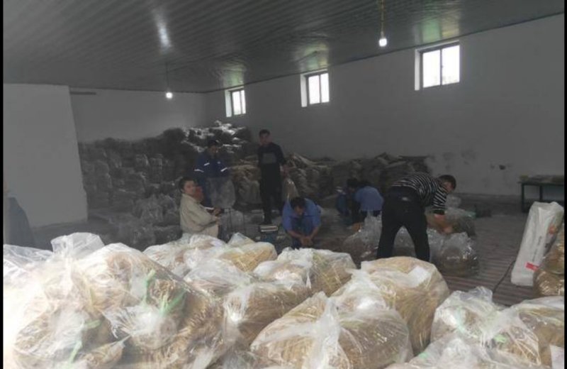 红薯粉条，厂家直销，质优价廉，支持线上交易